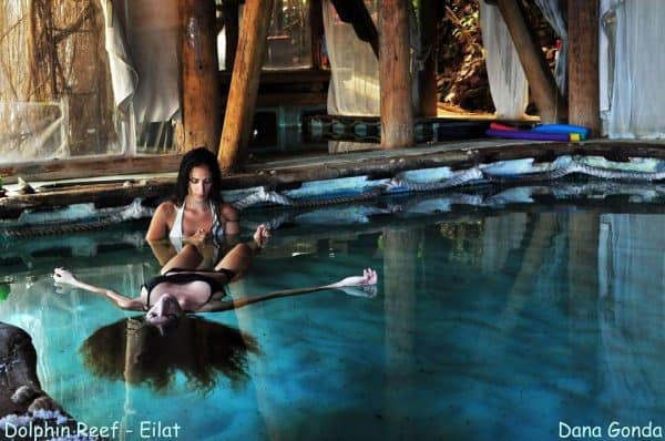 סתלבט - צילום דנה גונדא