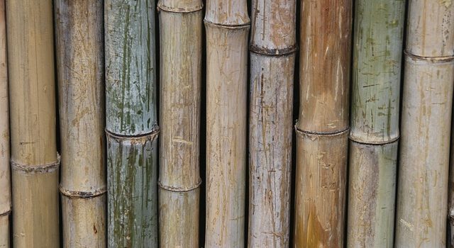 פרגולות במבוק