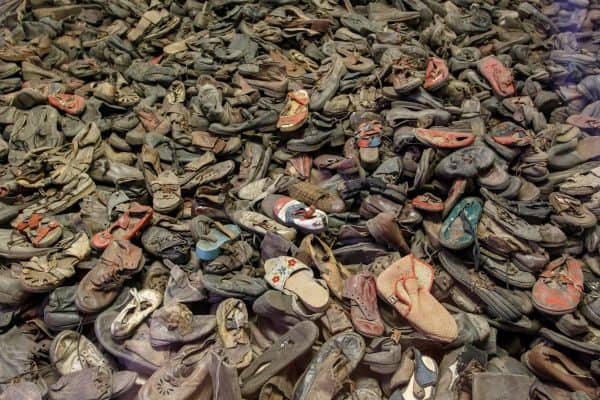 צילום: shutterstock