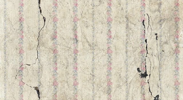 הסימנים לנזילה שאם תתעלמו מהם יעלו לכם ביוקר