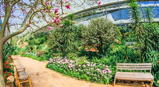 גינון ידידותי לסביבה שימוש בכלי עבודה נטענים