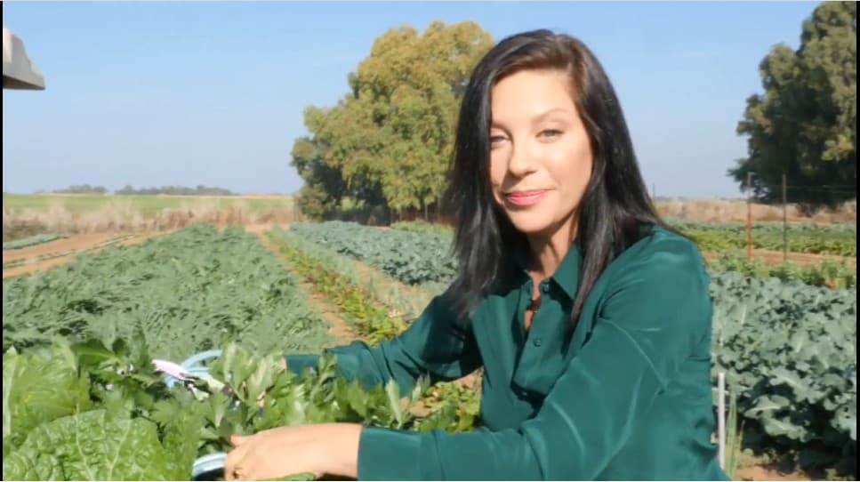 מה זה קולינריה מודעת?