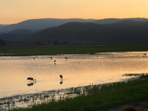 סיור שקיעה באגמון החולה. צילום: ליאת מלכא
