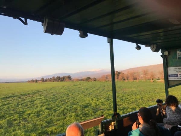 סיור בעגלת המסתור. צילום: ליאת מלכא