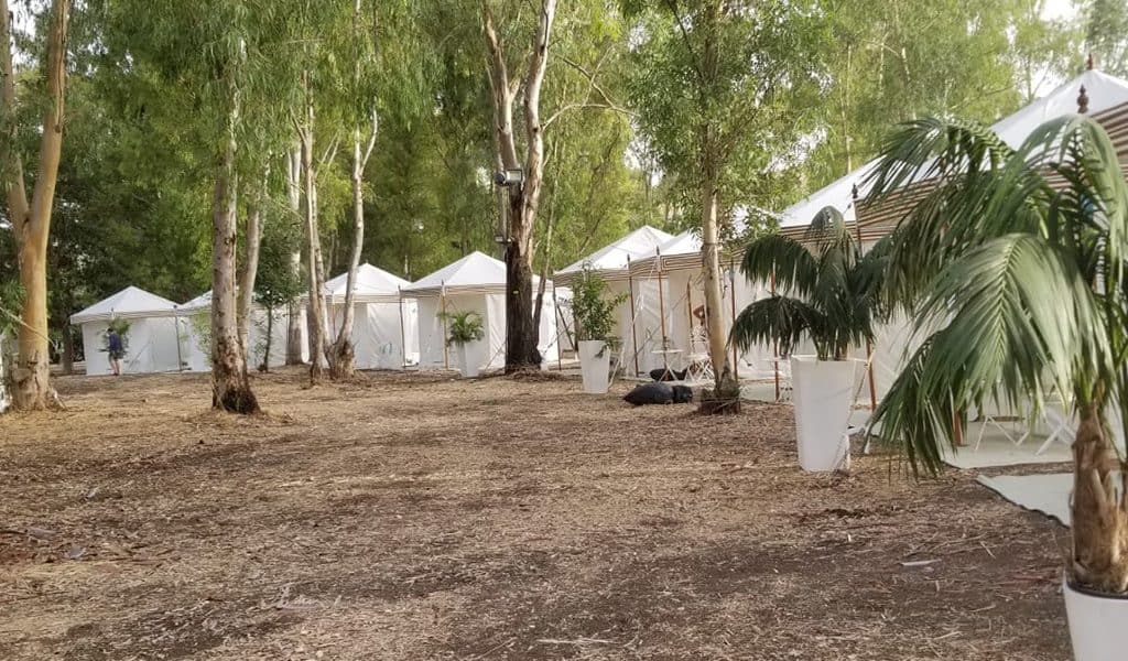 גלאמפינג על גדות הירדן, מסעדה בסגנון הודו בתוך גינת פלאים במושב אודים – להרגיש חו"ל בארץ גם תחת התו הסגול.