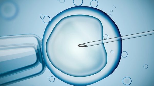 טיפולי IVF צילום shutterstock