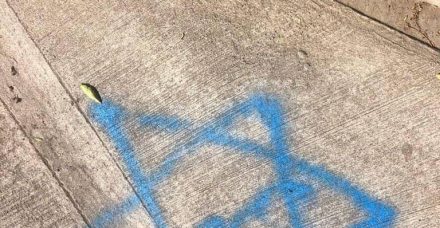 "אני פוחדת. אמריקה תמיד הייתה מקום בטוח ליהודים ועכשיו מרגיש שהיא כבר לא"