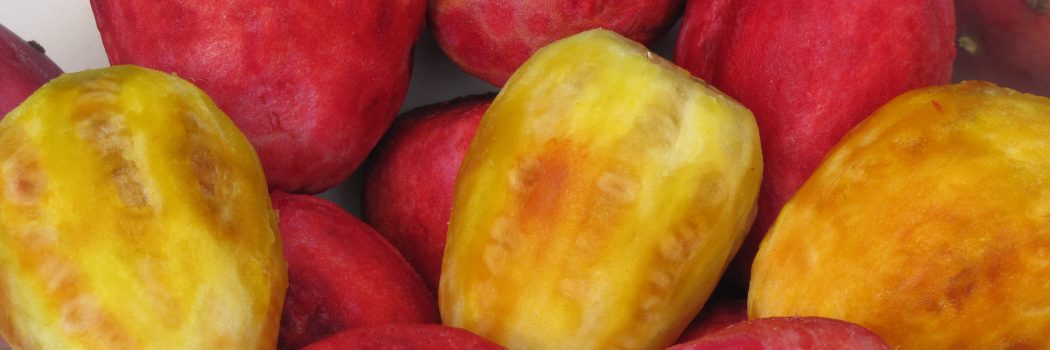 אוכל של קיץ, אבטיח, גלידות, סברס, ושוקולד, וגם איך להכין סודה וגלידה לבד בבית בסטייל. כל מה שטעים וחדש