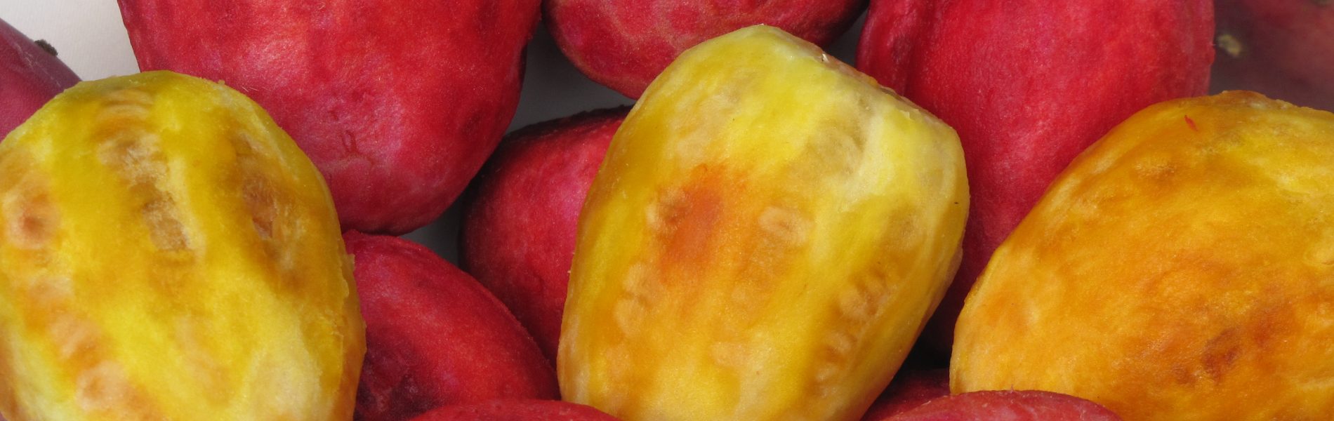 אוכל של קיץ, אבטיח, גלידות, סברס, ושוקולד, וגם איך להכין סודה וגלידה לבד בבית בסטייל. כל מה שטעים וחדש