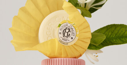 מותג איפור מקצועי, בושם, מוצרים של המותג של קיילי ג'נר, מסקרה שמנפחת ועוד, המוצרים החדשים בתחום האיפור והטיפוח