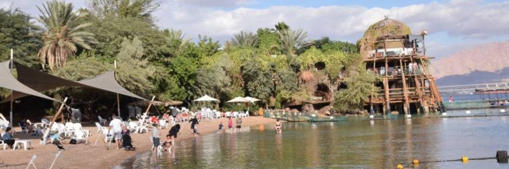 ריף הדולפינים אילת. צילו אינה מנשה