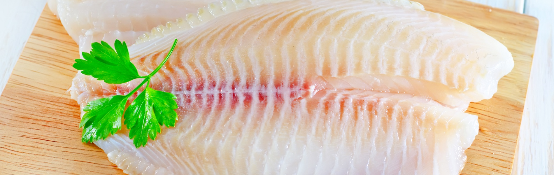 דגים טריים: 5 סיבות טובות להעדיף רק אותם