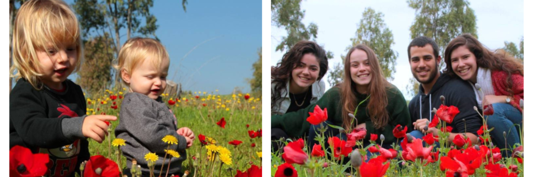 דרום אדום. צילום רפי בביאן