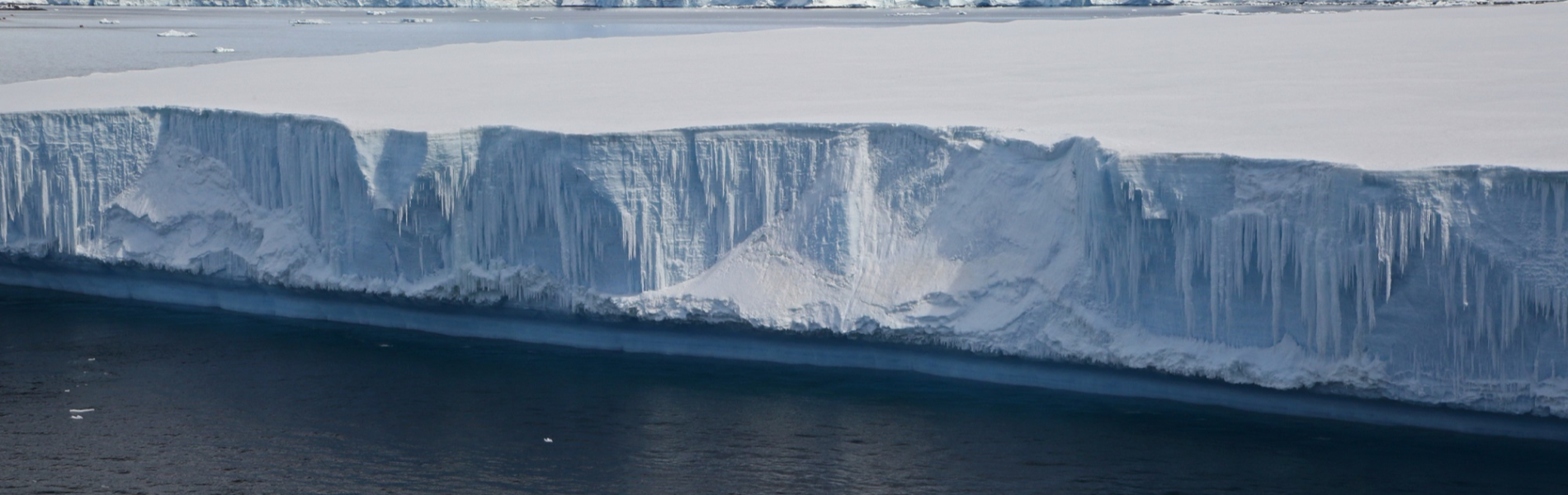מלכת הקרח: כך נראה טיול של 5 כוכבים ביבשת הקפואה