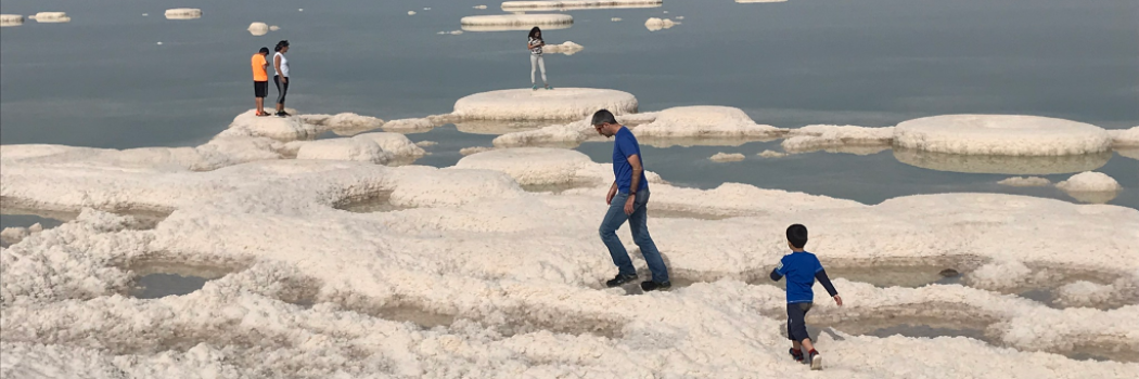 צילום: הדס רגולסקי כריסי