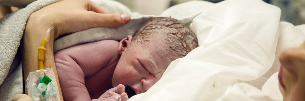 המילון המלא לנשים בהריון ויולדות טריות