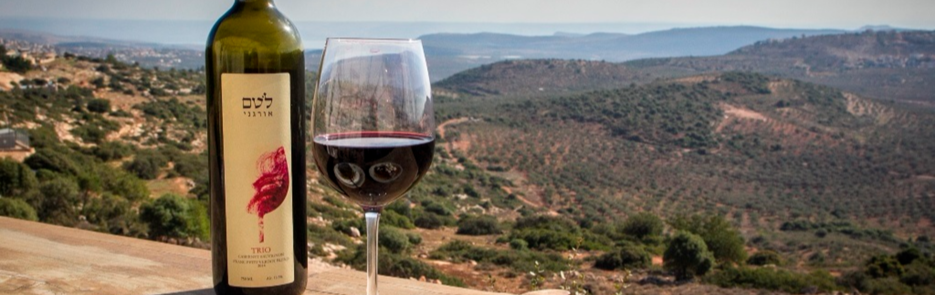 מבר תל אביבי ועד אירוע מוזיקלי: אופציות לקבלת שבת אלטרנטיבית