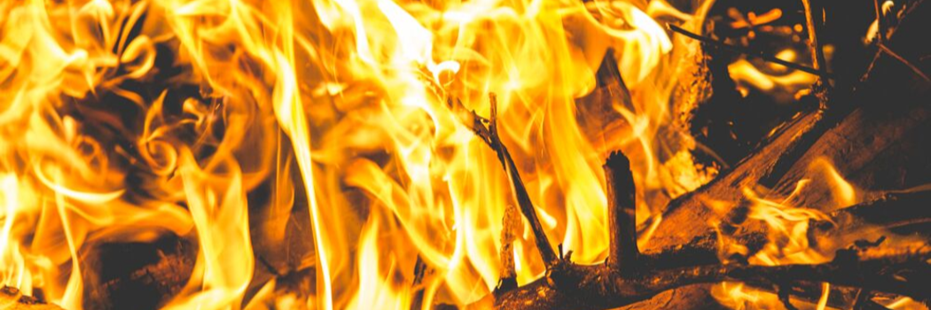 צילום שלי יפה אבידור