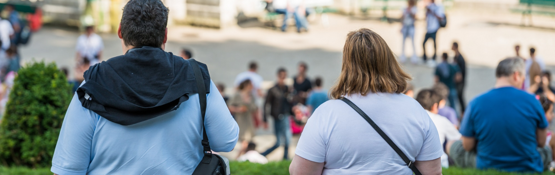 "ניתוח בגלולה": מדענים מהרווארד פיתחו גלולה שתילחם בהשמנת יתר כמו ניתוח בריאטרי