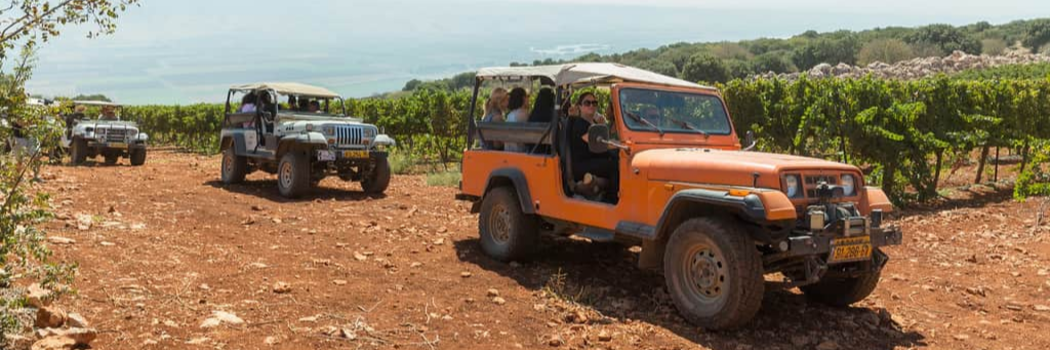 קפה, יין, קיימות ונטוורקינג: ככה עושות את זה