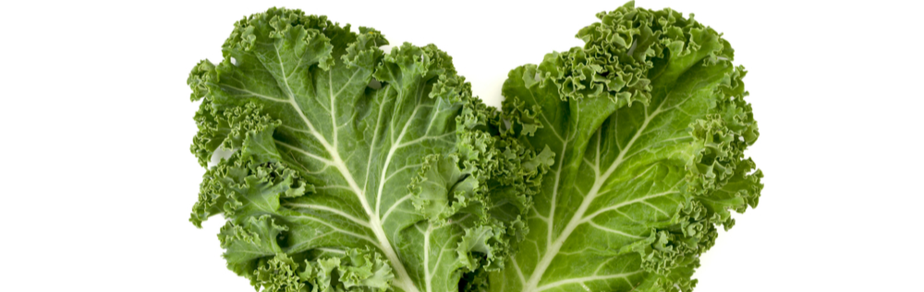 הכי ירוק שיש: סלט קייל, תרד, עשבי תיבול ורימונים