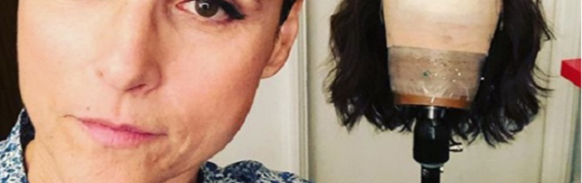 ג'וליה לואי דרייפוס מדברת בכנות על המאבק בסרטן השד