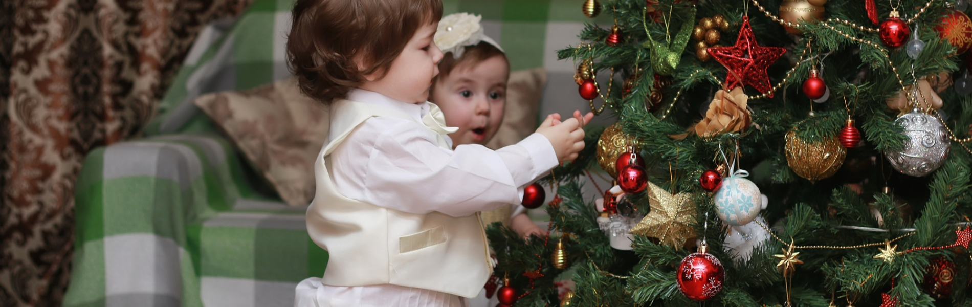 נובי גוד: למה הישראלים עדיין מפחדים מעצי אשוח?