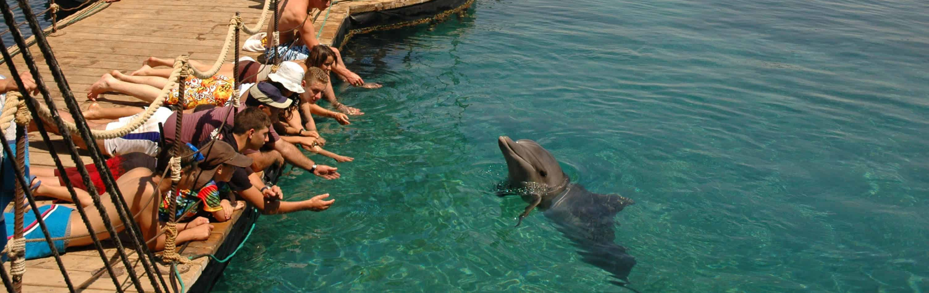 10 דברים שכיף לעשות באילת בחורף