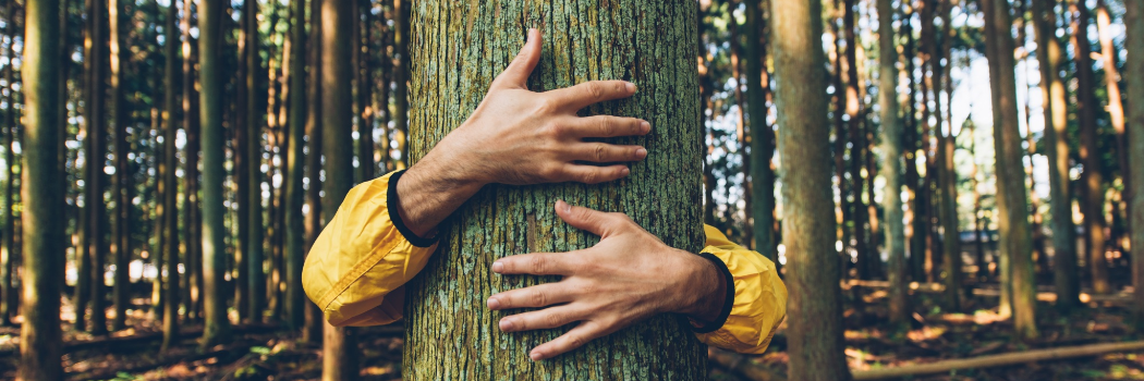 חיבוק. צילום: shutterstock