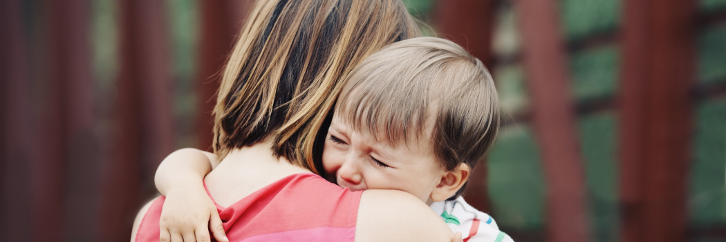 צילום: shutterstock