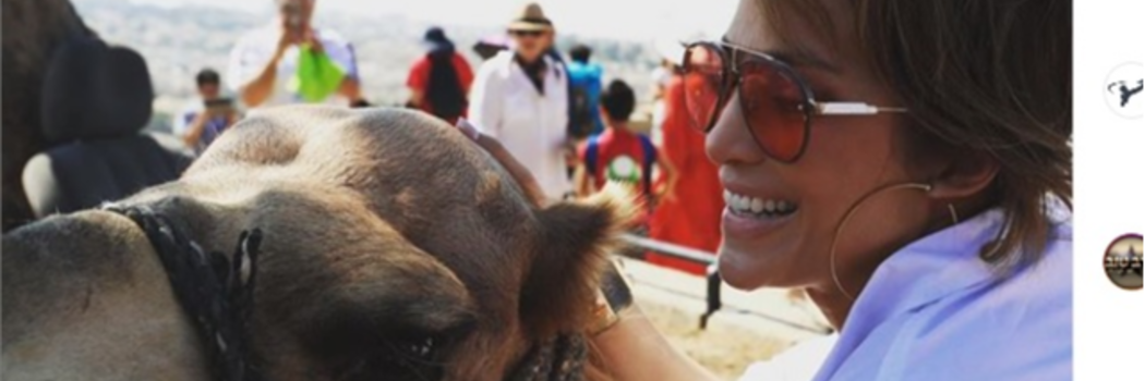 ג'ני והגמל. מתוך אינסטגרם