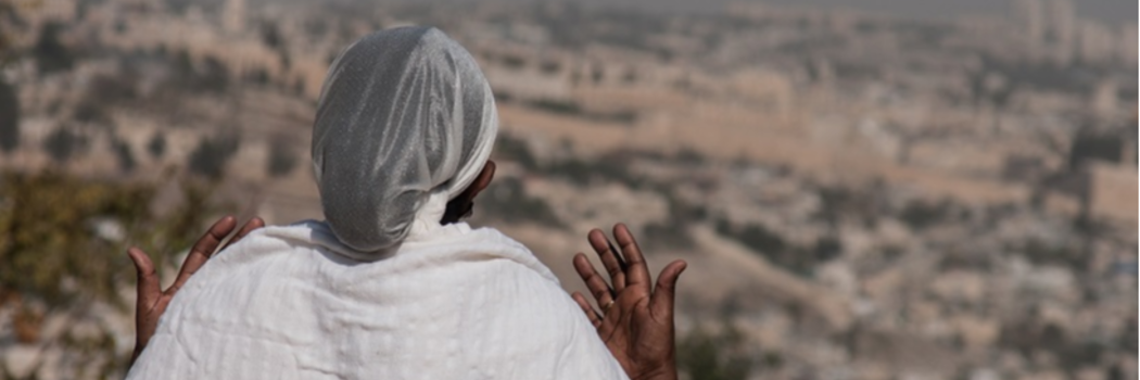 צילום: shutterstock