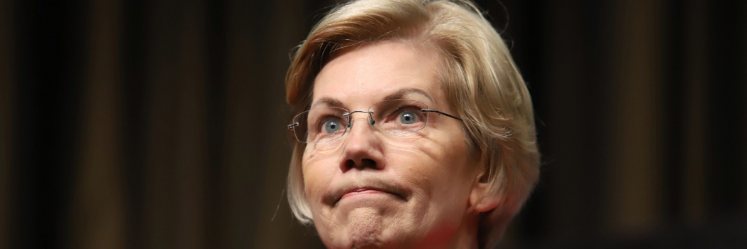 ההתרסקות הגדולה של אליזבת וורן, התקווה הנשית בפריימריז הדמוקרטים