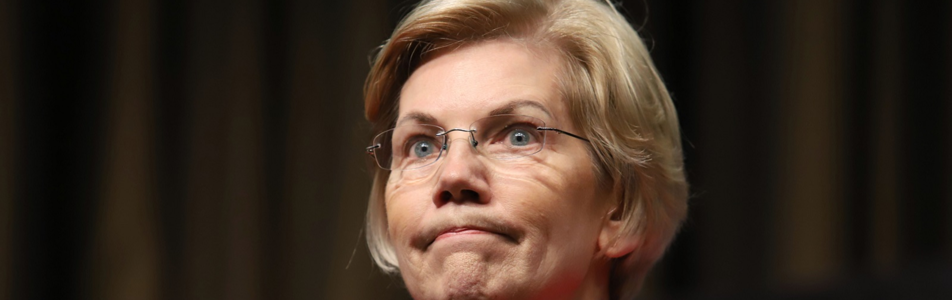 ההתרסקות הגדולה של אליזבת וורן, התקווה הנשית בפריימריז הדמוקרטים