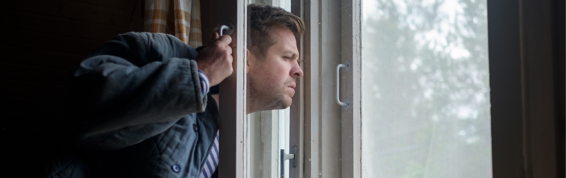 השכנים נאים בעיני