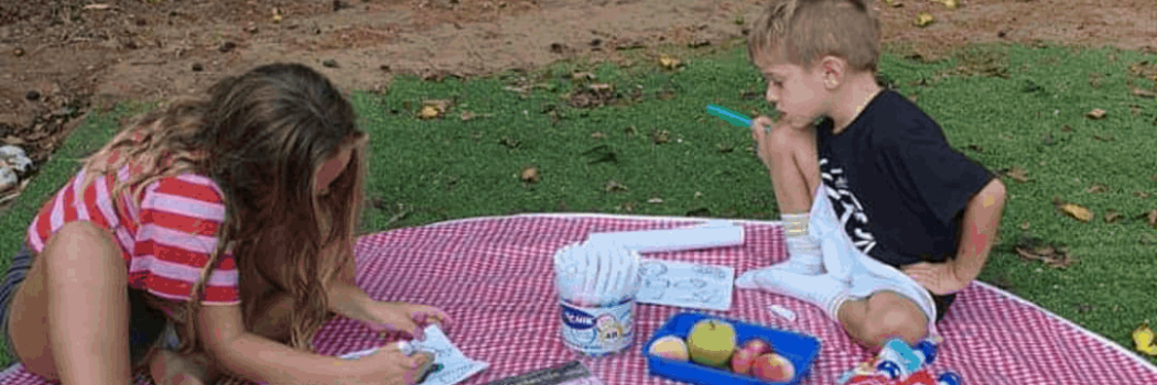 פיקניק בבית: איך לעשות כזה מגניב, ובתוך הבית?