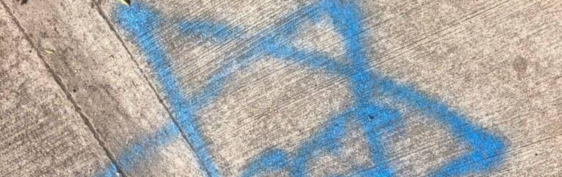 "אני פוחדת. אמריקה תמיד הייתה מקום בטוח ליהודים ועכשיו מרגיש שהיא כבר לא"