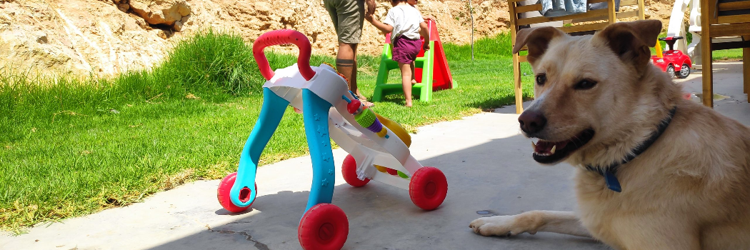 יומן מלחמה מבצע 'עלות השחר': 'כשהיא אומרת "צבע אדום" אנחנו צריכים לרוץ לממ"ד או למקלט מהר מהר'