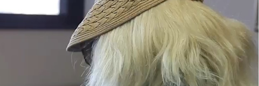 הסוהרת הילה שוב נשארה עם הכאב לבד