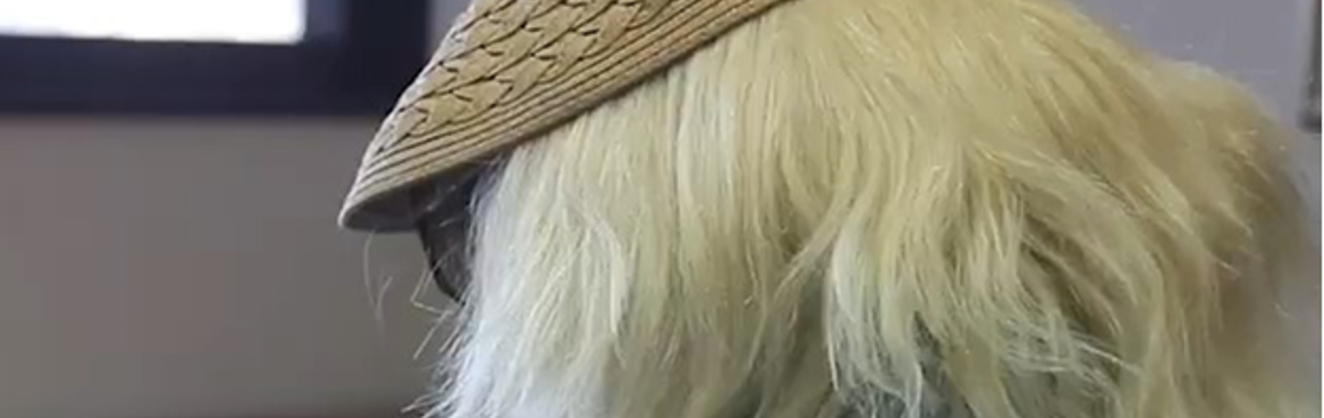 הסוהרת הילה שוב נשארה עם הכאב לבד