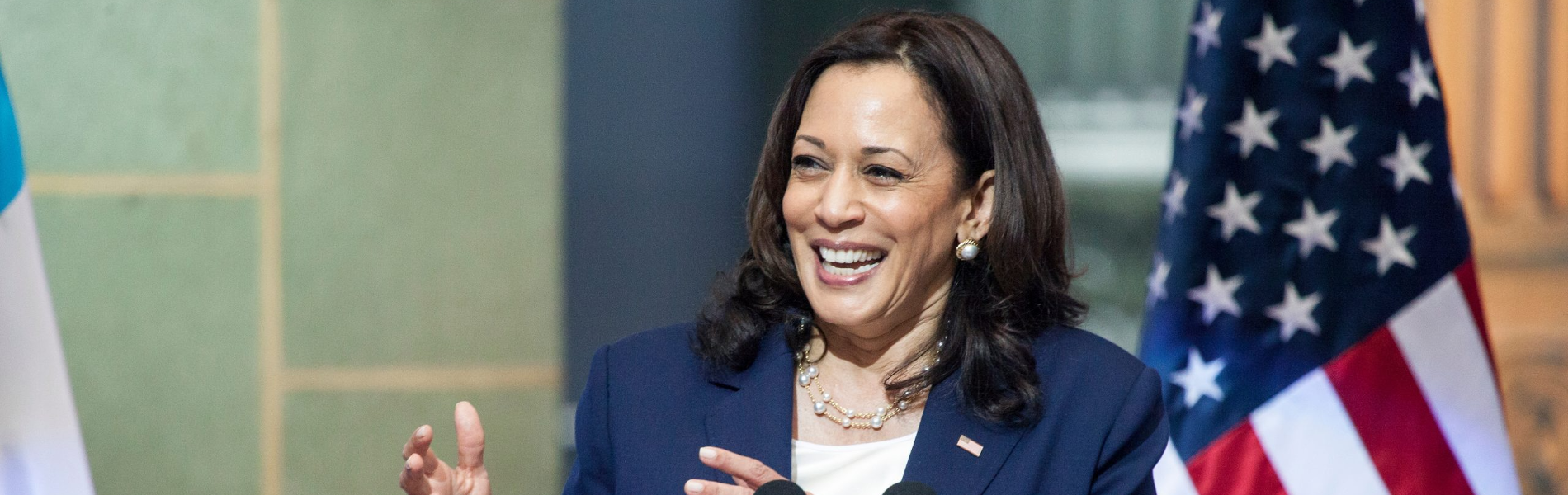 הילדה הקטנה הזאת – הייתה אני: קמלה האריס היא התקווה לאמריקה דמוקרטית ושפויה